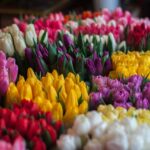 Dlaczego warto wypożyczyć suknię ślubną?